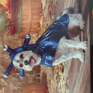 Pet Halloween Alien Dog Costume XL